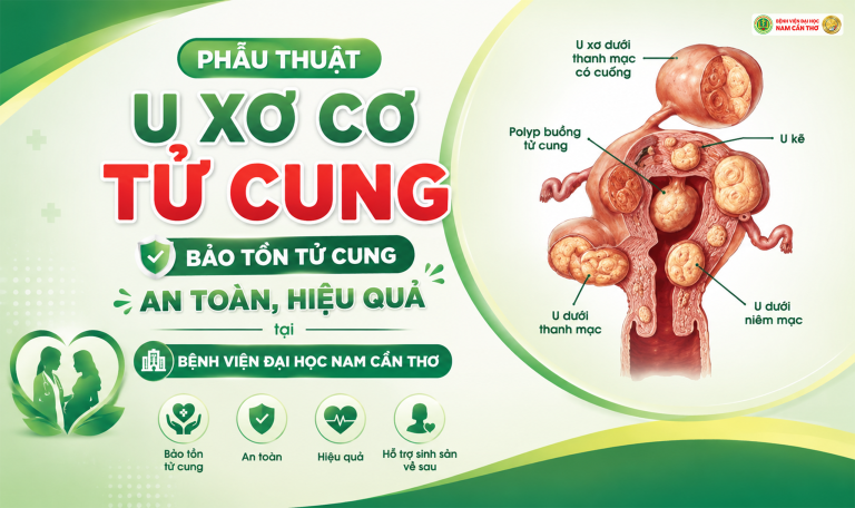 Hình ảnh minh họa về u xơ cơ tử cung