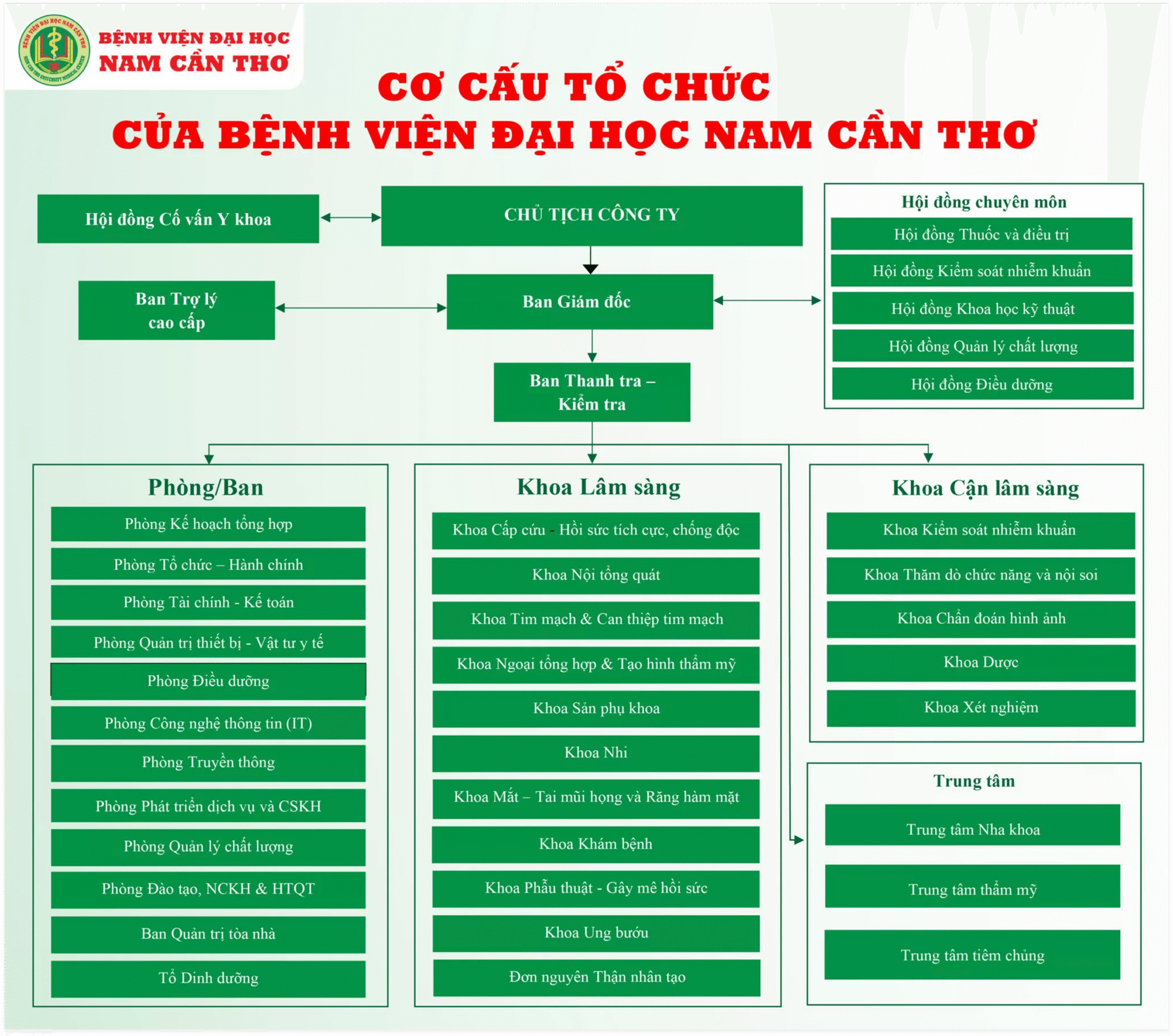 Sơ đồ Cơ cấu tổ chức Bệnh viện Đại học Nam Cần Thơ