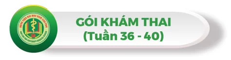 Thai sản và sinh con trọn gói 8 screenshot 1706577428