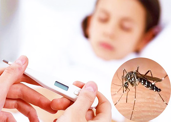 SỐT XUẤT HUYẾT: NGUY HIỂM HƠN BẠN NGHĨ