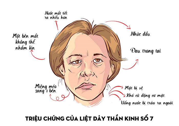 DayThanKinh